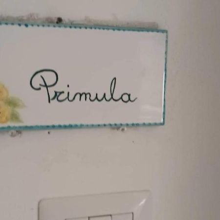 شقة Il Glicine - Primula Paciano المظهر الخارجي الصورة
