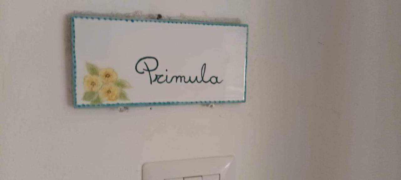 شقة Il Glicine - Primula Paciano المظهر الخارجي الصورة